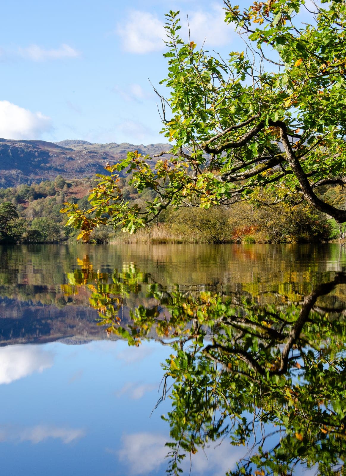 Rydal Water