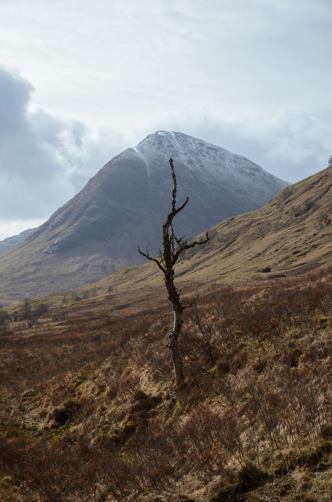 Glencoe