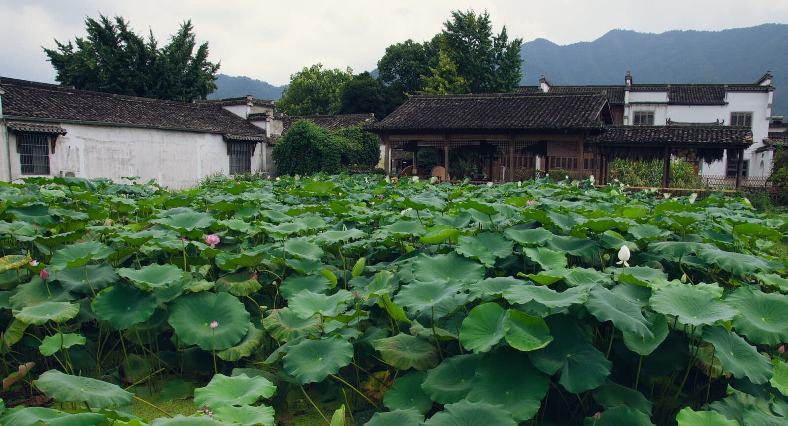 Huangshan